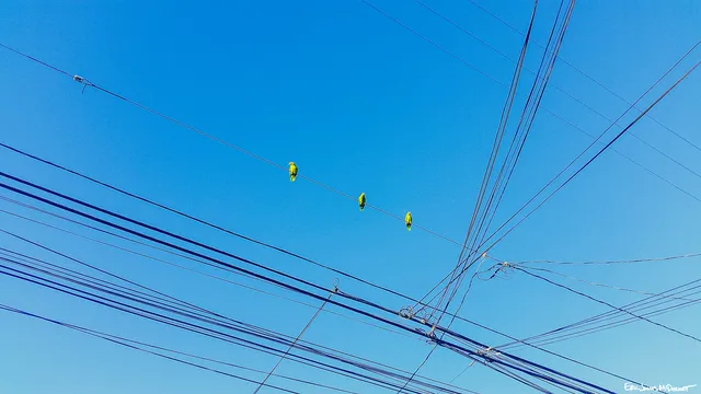 Photograph 41