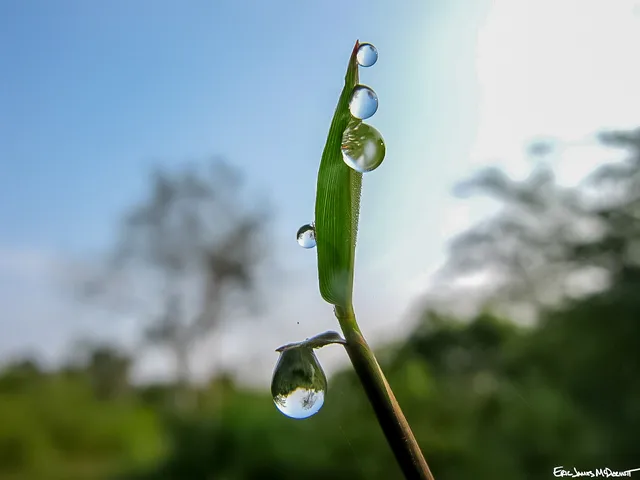 Photograph 54