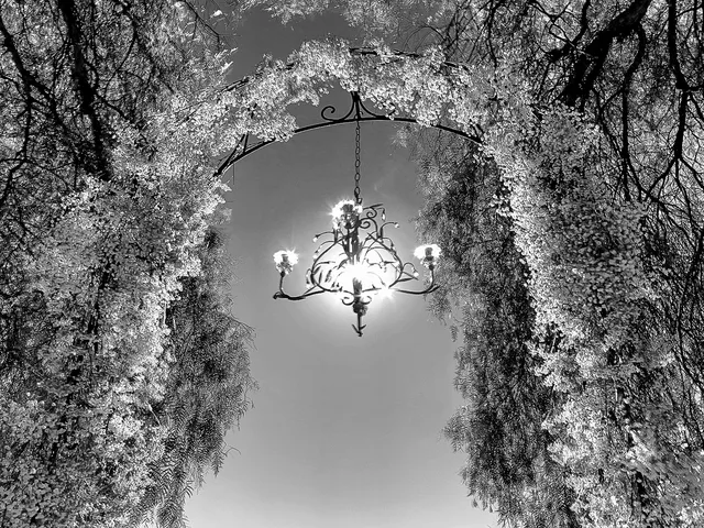 Photograph 64