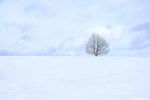 Photograph 11