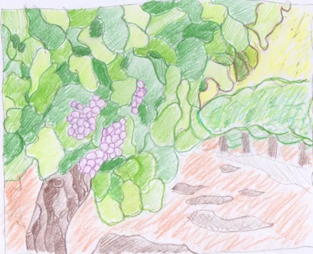 The Vineyard — 01