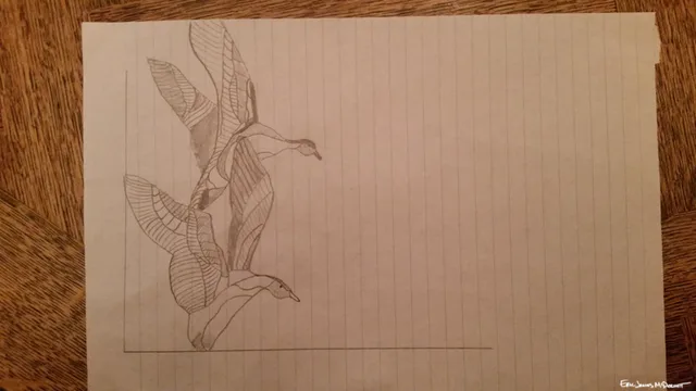 Ducks in Flight — 01