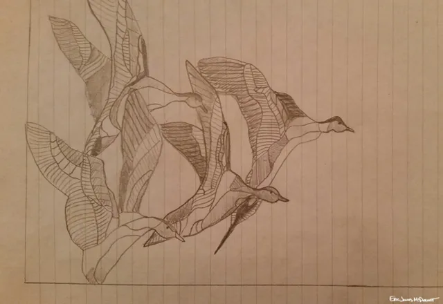 Ducks in Flight — 02